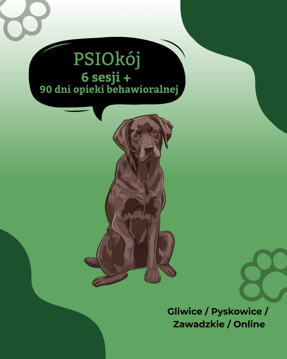 PSIOkój - 6 sesji, 90 dni opieki behawioralnej