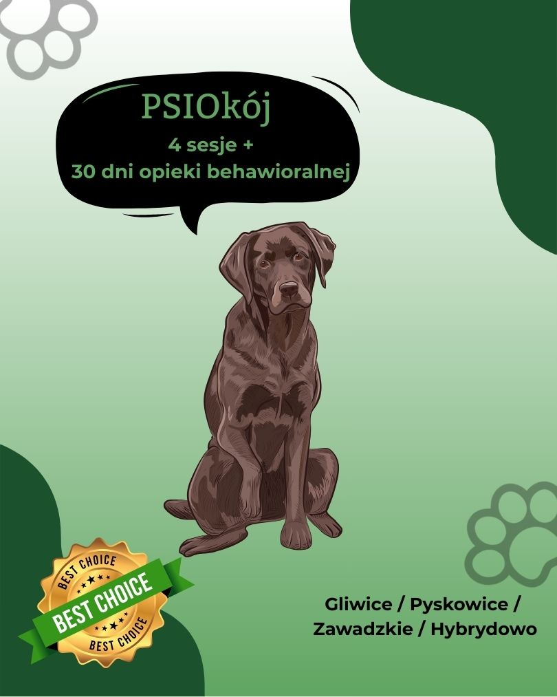 PSIOkój - 4 sesje, 30 dniowa opieka behawioralna.